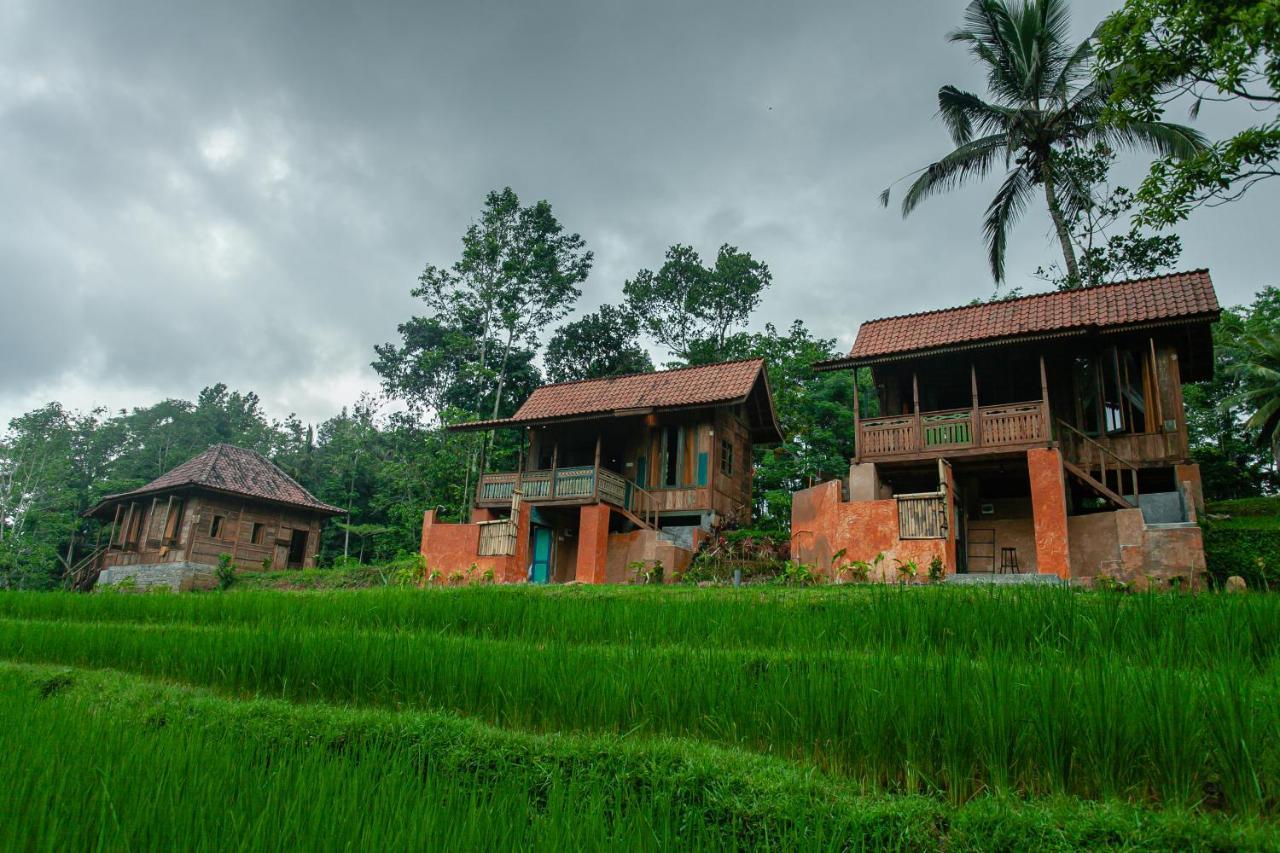 Tepi Sawah Lodge & Retreat Джатилувих Экстерьер фото