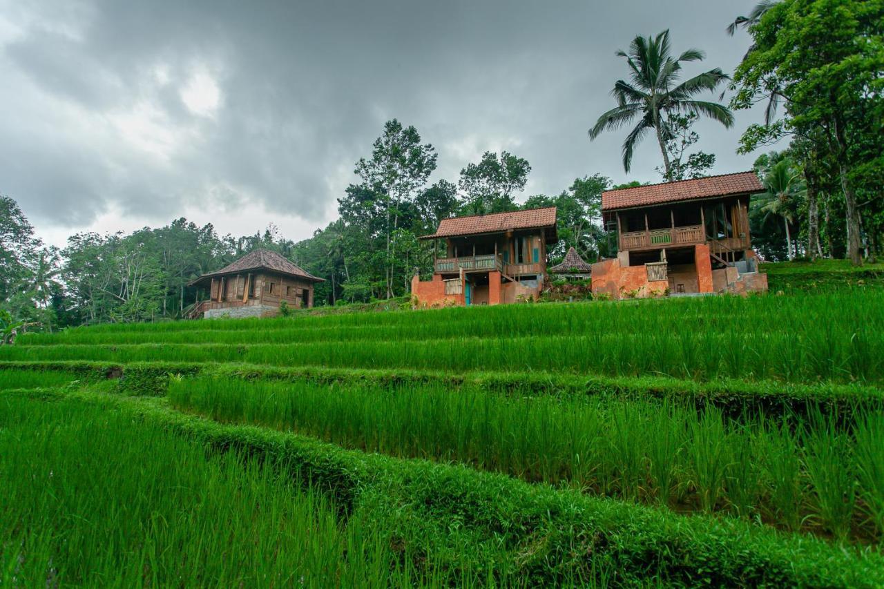 Tepi Sawah Lodge & Retreat Джатилувих Экстерьер фото